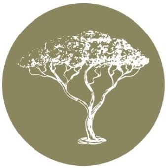 Scott Butler tree care