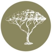 Scott Butler tree care – Professional tree care services